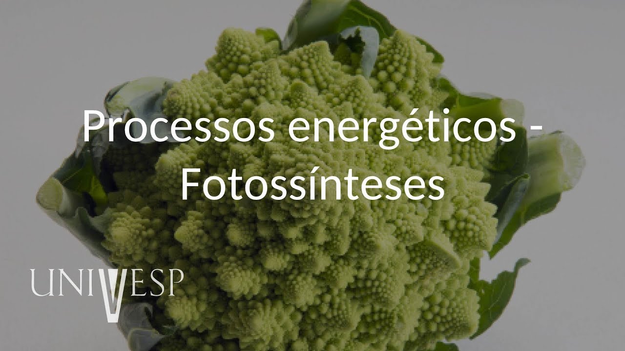 Fisiologia Vegetal - Aula 11 - Processos energéticos - Fotossínteses
