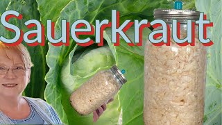 Homemade probiotic: Crafting Sauerkraut in Mason Jars