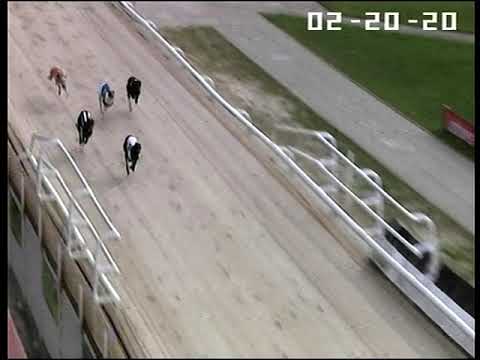 Saturday 20/02/2021 Race 10. THE 2021 LADBROKES GOLDEN JACKET - Final