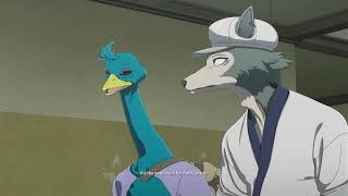 Legoshi runs into Dom ( Beastars Season 3 )