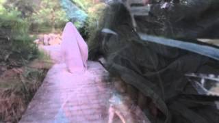 Download lagu asmr ahhh mp3