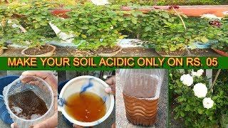 How to make your pot soil ACIDIC in cheap rate.