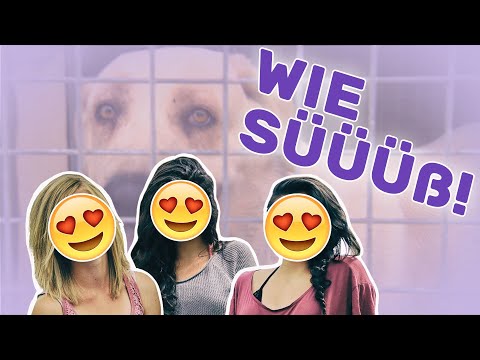 Die Mädchen-WG auf Mallorca | Folge 3