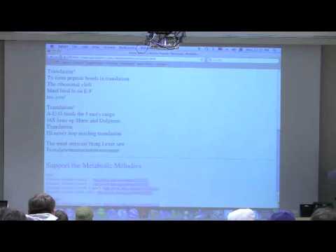 Kevin Ahern's Wildly Popular Metabolic Melodies - "Translation"