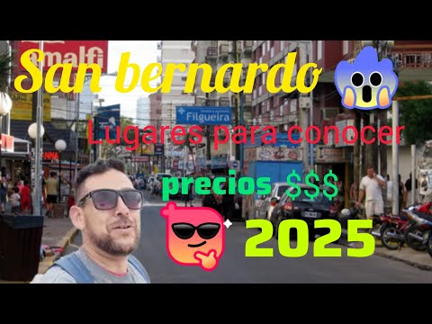 Saint Bernard prepares for the season