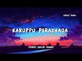 𝗞𝗮𝗿𝘂𝗽𝗽𝘂 𝗣𝗲𝗿𝗮𝘇𝗵𝗮𝗴𝗮 Lyrics Suchith X Darshana Thaman K