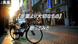 嵐 【言葉より大切なもの】 歌ってみた