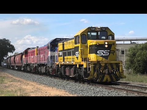 9098 up ssr elmore grain