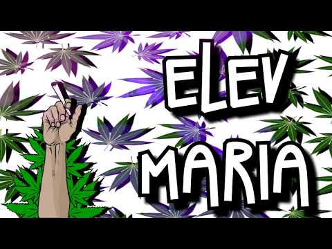 ELEV-MARIA