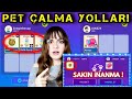 PK XD WAYS TO STEAL PETS IN PET EXCHANGE DON T BELIEVE THESE ÖZGÜŞ TV