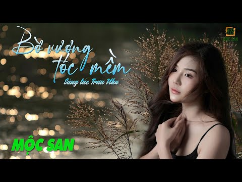 Vương bờ tóc mềm - Mộc San