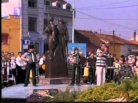 VLADAN SIMIC- Vodenicar na Moravi