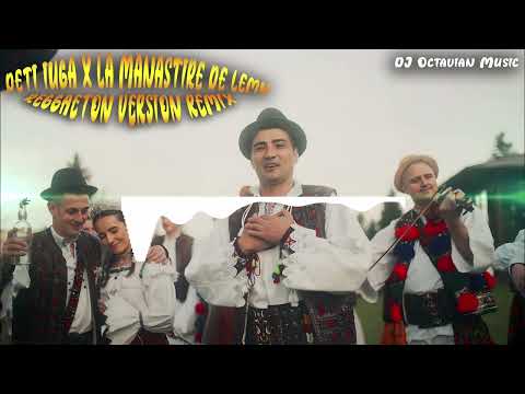 Deti Iuga ❌ La Mânăstire de lemn ❌ Reggaeton Version ReMix