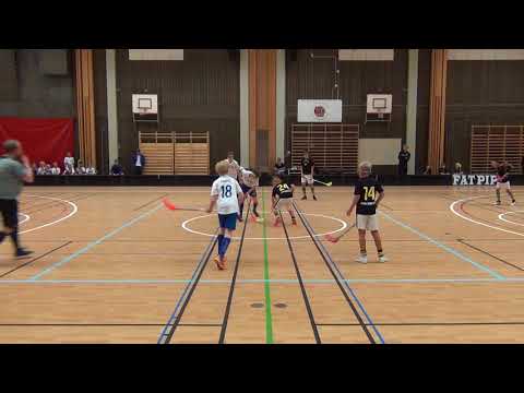 1a perioden AIKP06- Ervi white