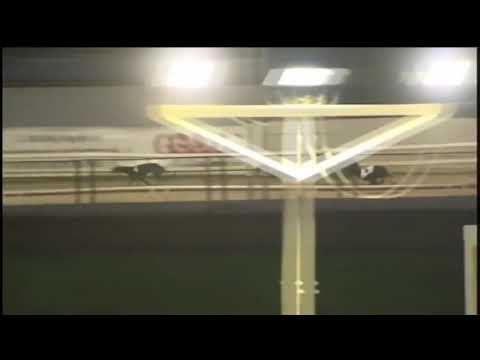 BGBF British Bred Northern Plate Heat 3 - King Sheeran