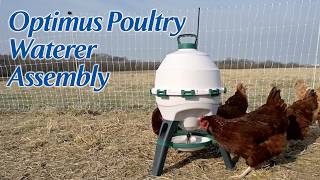 Optimus Poultry Waterer Assembly