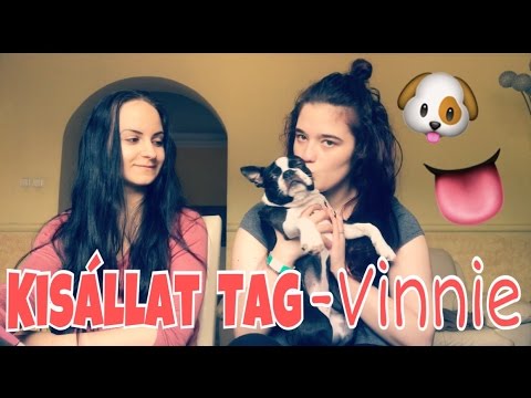 IamMEK’s Video 142642884503 l0xxAnWLWVs