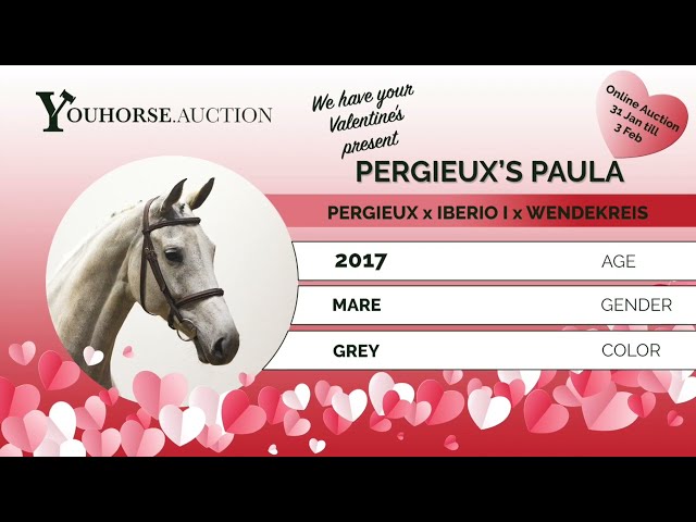 Perigueux's Paula showvideo