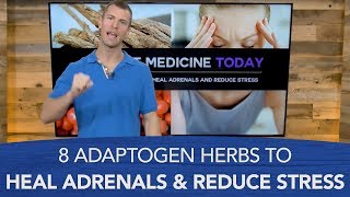 8 Adaptogen Herbs to Heal Adrenals and Reduce Stress