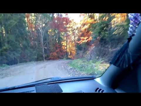 Drumul de la Argel până la Brodina de Jos, jud. Suceava (parțial)