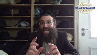סוד מלכות הנגלית דישסו''ת | שער הנקודים פרק ז חלק 3 | אוצרות חיים למתקדמים