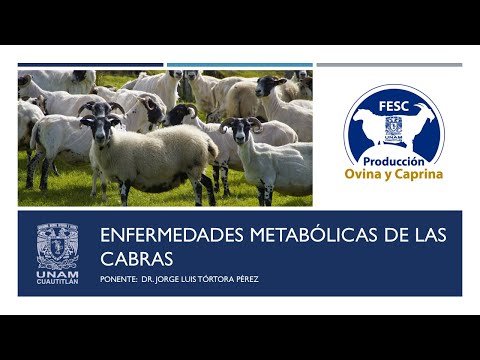 , title : 'Enfermedades metabólicas de las cabras'