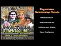 Lingashtakam TAMIL S P Balasubramaniyam லிங்காஷ்டகம் தமிழ் S P ப