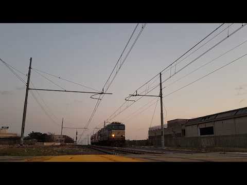 E655 410+D445+Aln663 IN TRANSITO