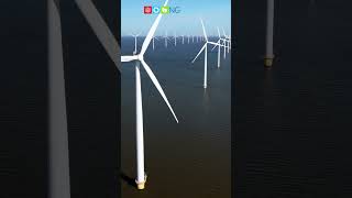 Renewable Energy – Wind #shorts #ngscience