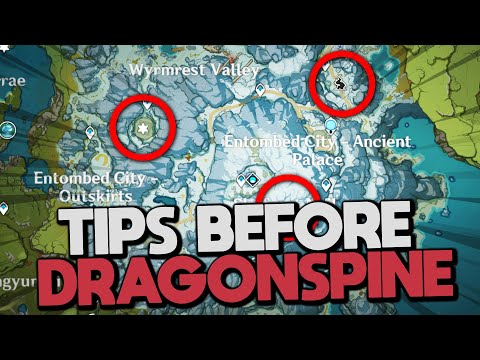 NEW DOMAIN GUIDE AND LOCATIONS! | Things To Know Before Dragonspine | Genshin Impact