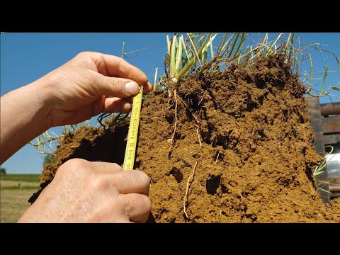 Audeline, conservation des sols