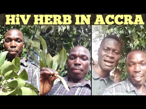 download lagu mp3 mp4 African Potato Herb, download lagu African Potato Herb gratis, unduh video klip African Potato Herb