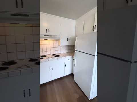 Opal 782 - Video 2 of 2