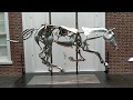 Mechanical Horse 16 9