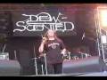 Dew-Scented # Bitter Conflict - Wacken.