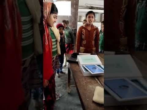 Haselfre Foundation Program