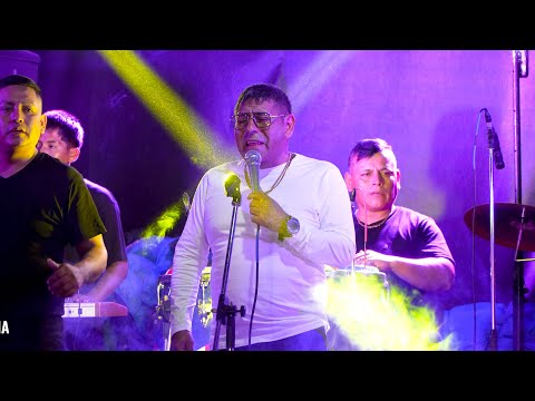 BORRACHITO DE AMOR...EL GATO FELIX NAVARRO Y SOMBRA AZUL en 4K - FELIZ CUMPLEAÑOS FELIXITO NAVARRO