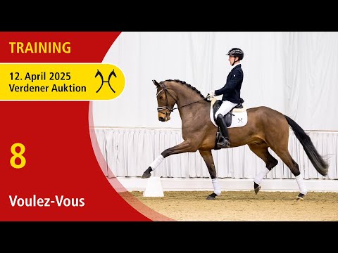8 Voulez-Vous by V-Plus - Fürsten-Look | Verden Auction OnLive - Training - April, 12th