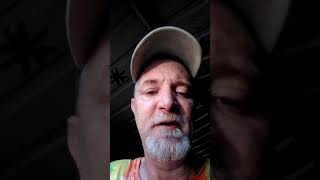 School Bus by Jimi's Chicken Shack