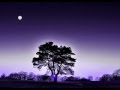 Original Song By Snowflake Twilight