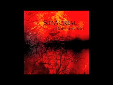 SidAerial - Circling/Safe To Say