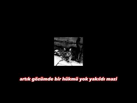 Taladro x Irmak Arıcı - toz duman (slowed & reverb)