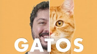 Como os gatos "domesticaram" o ser humano?
