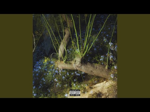 EsStrellao°☆⭑＊