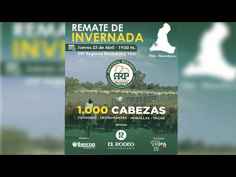 EN VIVO |  Remate de Invernada ARP Reg. Ñeembucu - Pilar  •El Rodeo