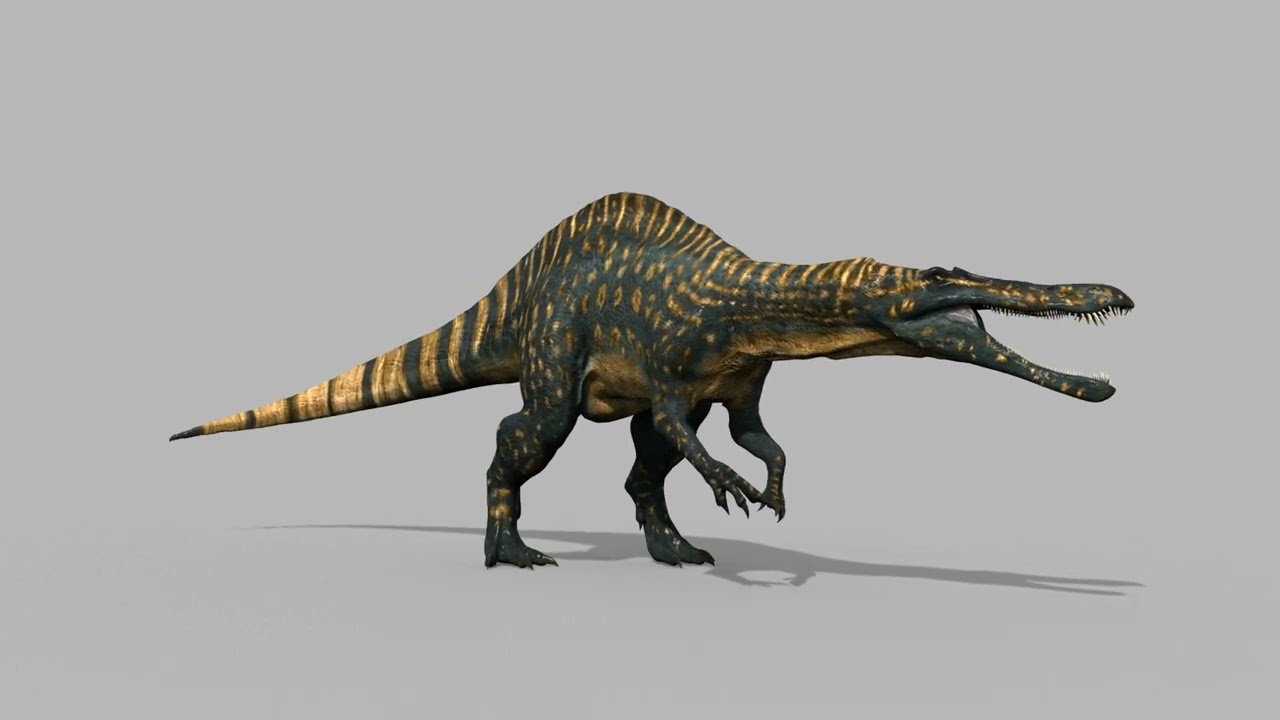 Suchomimus animado real - 8K Modelo 3D