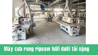 Máy cưa rong ripsaw tải nặng WM-18F tại Nhà Máy Khách Hàng