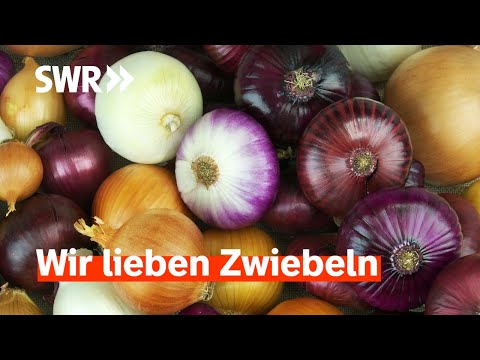 Multitalent Zwiebel: Kochen, Heilen, Färben | Treffpunkt