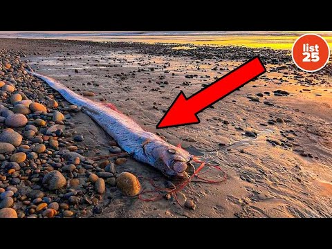 25 Warnings From Nature That Signal Disaster Is Coming