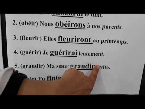 CM1- FRANCAIS : évaluation correction